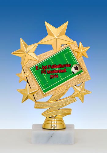 WF 6539 Fußballständer