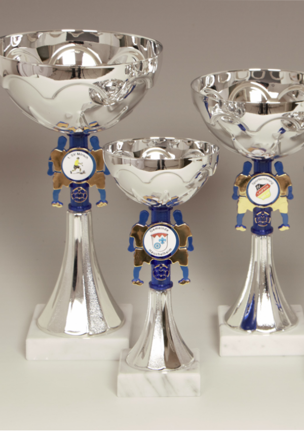 Fußballkleinehrenpreise