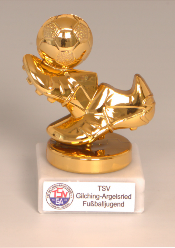 Fußballkleinehrenpreise